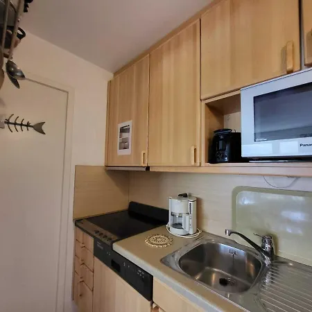 Apartment : 2 Pieces, 4 Pers, Proche Des Pistes, Balcon Sud-ouest, Wifi, Animaux Ok - Fr-1-449-119 *